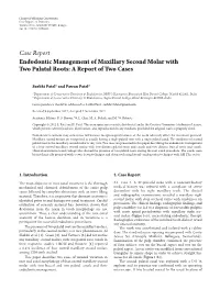 Case Report Endodontic Management of Maxillary Second Molar with Two Palatal Roots: a Report of Two Cases