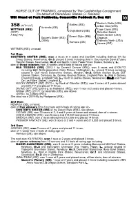 HORSE out of TRAINING, Consigned by the Castlebridge Consignment on Behalf of Clarehaven Stables (J