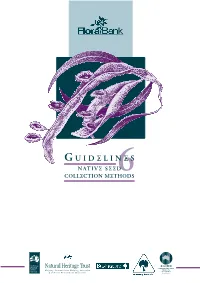 Native Seed Collection Methods6