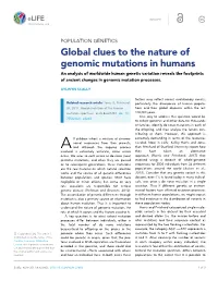Global Clues to the Nature of Genomic Mutations in Humans