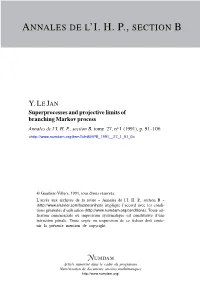 Superprocesses and Projective Limits of Branching Markov Process Annales De L’I