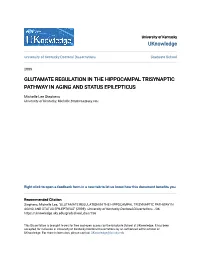 Glutamate Regulation in the Hippocampal Trisynaptic Pathway in Aging and Status Epilepticus