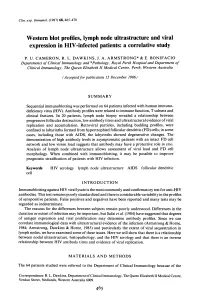 Western Blot Profiles, Lymph Node Ultrastructure and Viral Expression in HIV-Infected Patients: a Correlative Study