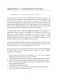 Appendix 6: Consultation Process