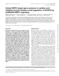 Global MEF2 Target Gene Analysis In