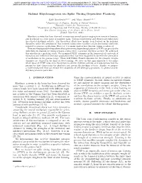 Robust Rhythmogenesis Via Spike Timing Dependent Plasticity