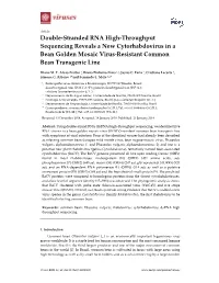Double-Stranded RNA High-Throughput Sequencing Reveals a New Cytorhabdovirus in a Bean Golden Mosaic Virus-Resistant Common Bean Transgenic Line