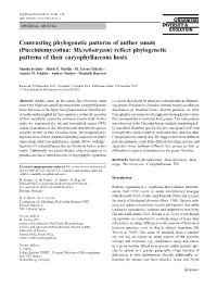 Pucciniomycotina: Microbotryum) Reflect Phylogenetic Patterns of Their Caryophyllaceous Hosts