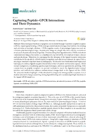 Capturing Peptide–GPCR Interactions and Their Dynamics