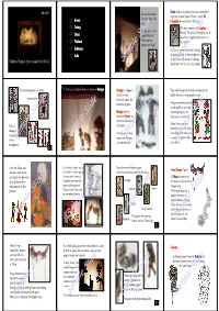 Sample Slide Sample Slide Sample Slide Sample
