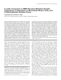 A Labile Component of AMPA Receptor-Mediated Synaptic Transmission Is Dependent on Microtubule Motors, Actin, and N-Ethylmaleimide-Sensitive Factor