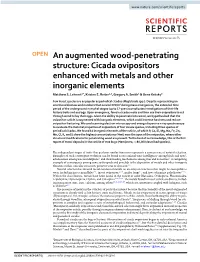 Cicada Ovipositors Enhanced with Metals and Other Inorganic Elements Matthew S