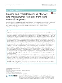 Isolation and Characterization of Olfactory Ecto-Mesenchymal Stem Cells from Eight Mammalian Genera Antoine D