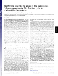 Identifying the Missing Steps of the Autotrophic 3-Hydroxypropionate CO2 Fixation Cycle in Chloroflexus Aurantiacus