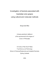 Investigation of Bacteria Associated with Australian Wine Grapes Using Cultural and Molecular Methods