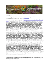 May 17, 2019 Theodore Payne Foundation’S Wild Flower Hotline Is Made Possible by Donations, Memberships, and the Generous Support of S&S Seeds