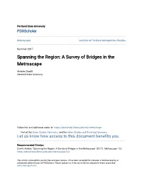 Spanning the Region: a Survey of Bridges in the Metroscape