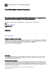 The Nuclear Position of Pericentromeric DNA of Chromosome 11 Appears to Be Random in G&lt;Subscript&gt;O&lt;/Subscript&gt; and N