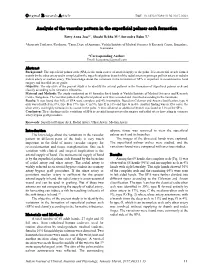 Analysis of the Vascular Pattern in the Superficial Palmar Arch Formation