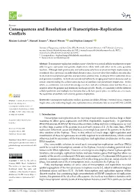 Consequences and Resolution of Transcription–Replication Conflicts
