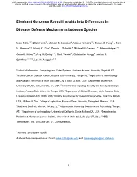 Elephant Genomes Reveal Insights Into Differences in Disease Defense