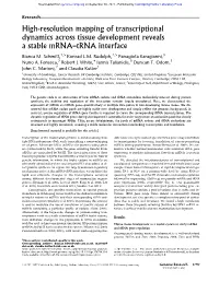 High-Resolution Mapping of Transcriptional Dynamics Across Tissue Development Reveals a Stable Mrna–Trna Interface