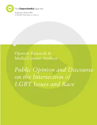 Public Opinion and Discourse on the Intersection of LGBT Issues and Race the Opportunity Agenda
