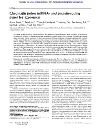 Chromatin Poises Mirna- and Protein-Coding Genes for Expression