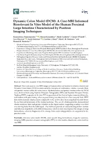 Dynamic Colon Model (DCM): a Cine-MRI Informed Biorelevant in Vitro Model of the Human Proximal Large Intestine Characterized by Positron Imaging Techniques
