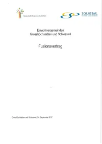 Fusionvertrag