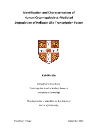 Identification and Characterisation of Human Cytomegalovirus-Mediated Degradation of Helicase-Like Transcription Factor