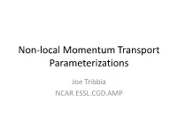 Non-Local Momentum Transport Parameterizations