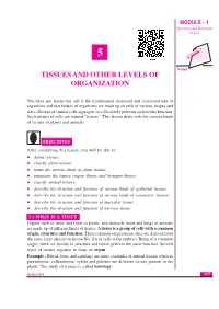 Tissues and Other Levels of Organization MODULE - 1 Diversity and Evolution of Life