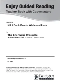 Enjoy Guided Reading Teacher Book with Copymasters