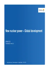 New Nuclear Power – Global Development