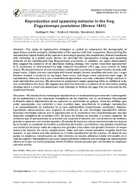 Reproduction and Spawning Behavior in the Frog, Engystomops Pustulatus (Shreve 1941)