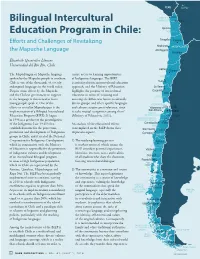 Bilingual Intercultural Education Program in Chile: Efforts and Challenges of Revitalizing the Mapuche Language
