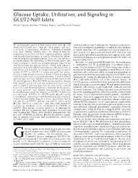 Glucose Uptake, Utilization, and Signaling in GLUT2-Null Islets Marie-Thérèse Guillam, Philippe Dupraz, and Bernard Thorens