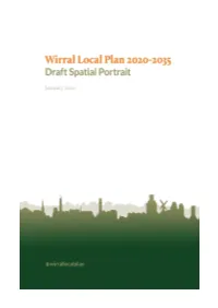 Borough Spatial Portrait 2020