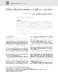 Distribution of Epiphytic Macroalgae on the Thalli of Their Hosts in Cuba