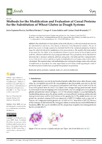 Methods for the Modification and Evaluation of Cereal Proteins for the Substitution of Wheat Gluten in Dough Systems