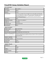Primepcr™Assay Validation Report