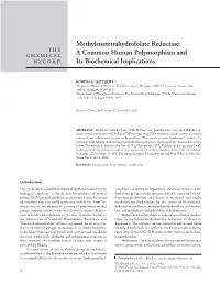 Methylenetetrahydrofolate Reductase: a Common Human Polymorphism and Its Biochemical Implications