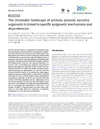 The Chromatin Landscape of Primary Synovial Sarcoma Organoids Is Linked to Speciﬁc Epigenetic Mechanisms and Dependencies