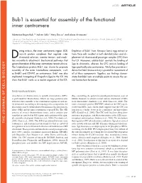 Bub1 Is Essential for Assembly of the Functional Inner Centromere