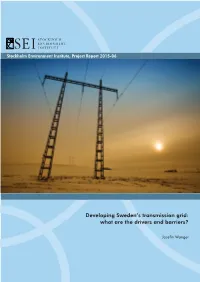 Developing Sweden's Transmission Grid: What Are the Drivers And