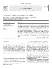 Proteomic Differentiation Pattern in the U937 Cell Line