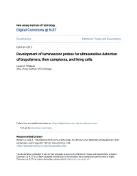 Development of Luminescent Probes for Ultrasensitive Detection of Biopolymers, Their Complexes, and Living Cells