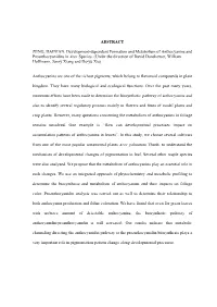 ABSTRACT ZENG, HAINIAN. Development