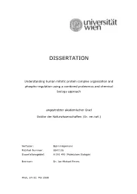 Dissertation